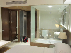 Mumbai_Bandra Kurla_Hotel Trident_one of the guest_s room