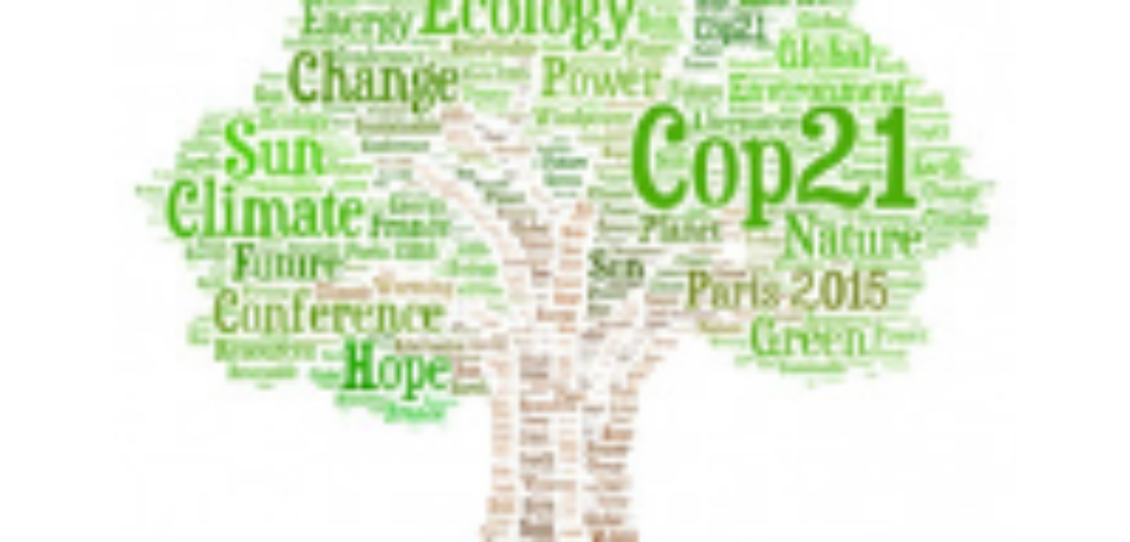 COP 21 PARIGI