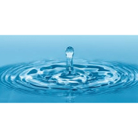 H2O