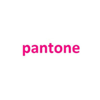 P PANTONE