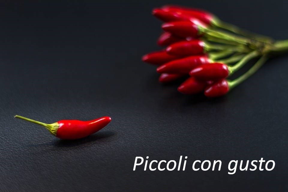 Piccoli con gusto